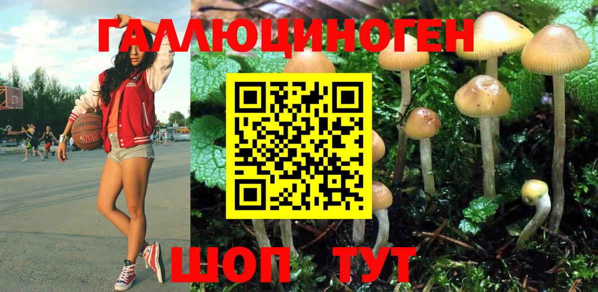 Галлюциногенные грибы Magic Shrooms  Галлюциногенные грибы ЛСД  Петропавловск-Камчатский  как найти наркотики  Вход с VPN 