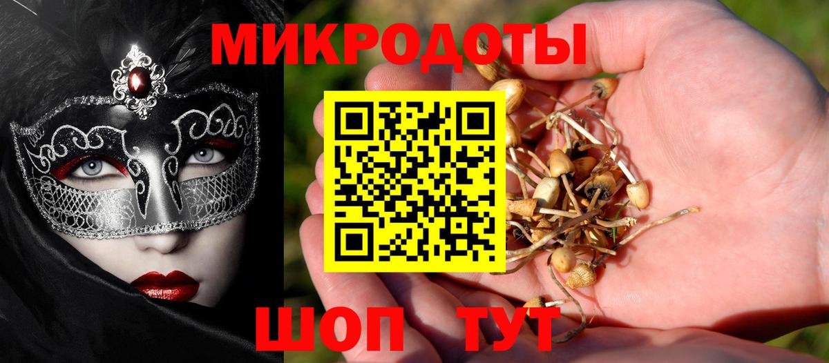 Псилоцибиновые грибы прущие грибы Петропавловск-Камчатский